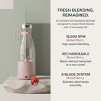 Electric juicer